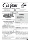 La Gaceta N° 36,280 del 13 de julio de 2023